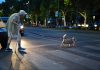 Old man crossing a street guided by his watching dog - Night shift photography.