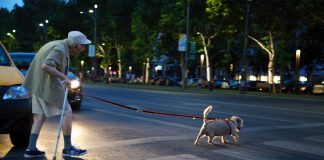 Old man crossing a street guided by his watching dog - Night shift photography.