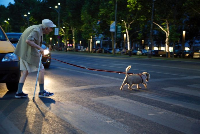 Old man crossing a street guided by his watching dog - Night shift photography.